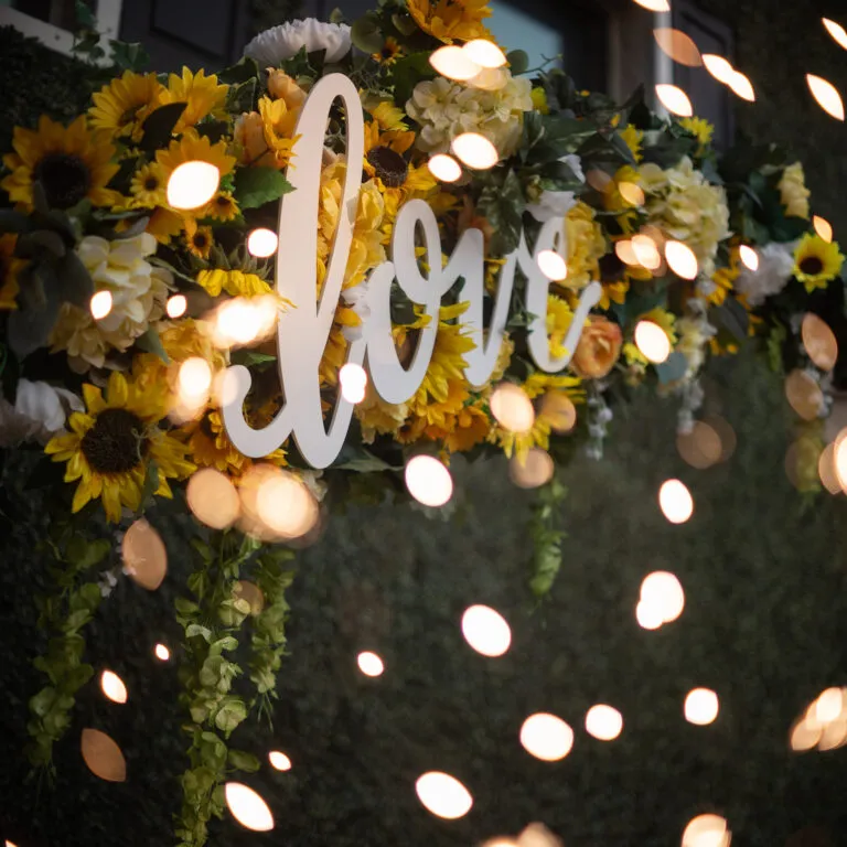 Wedding photography by Shannon Oleson, image 1
