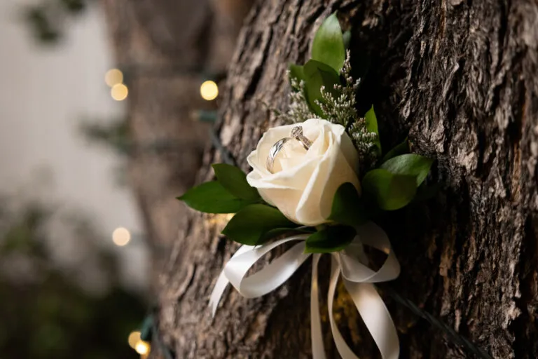 Wedding photography by Shelby Kemp, image 1