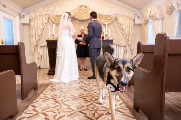 Wedding photography by Devin Jimenez, image 25