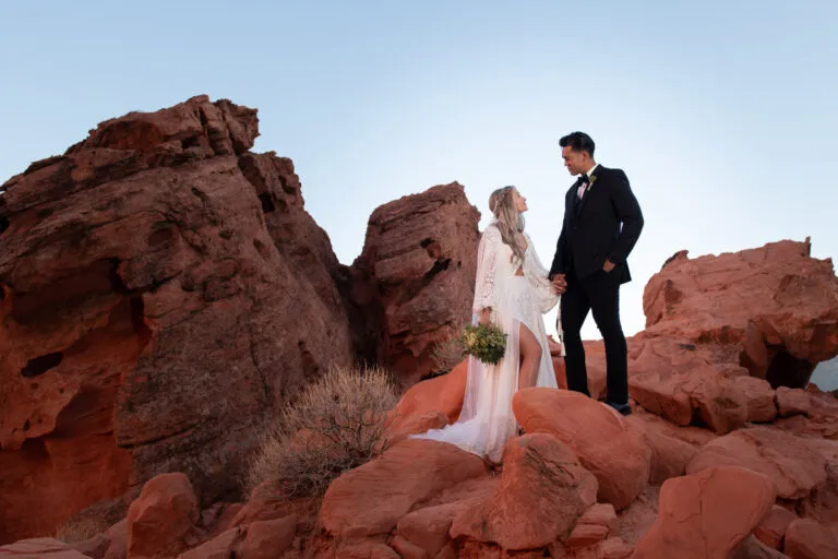Wedding photography by Shannon Oleson, image 41